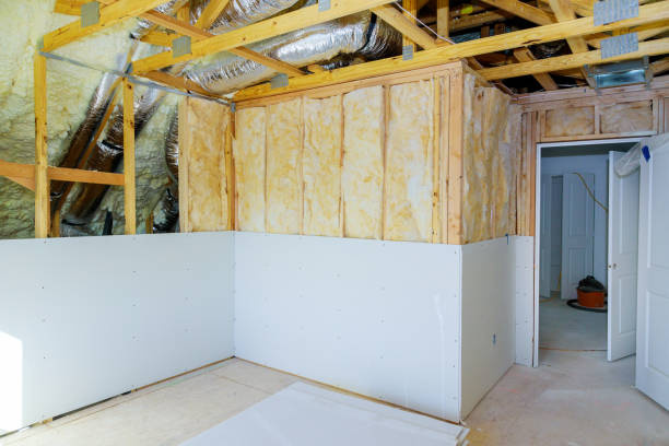 Best Insulation Maintenance and Repair in Pasadena Hills, MO