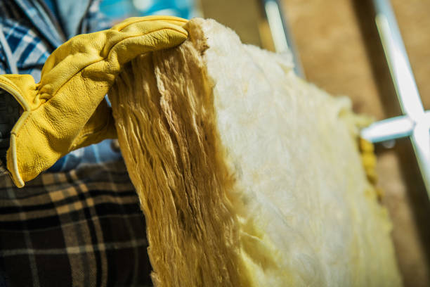 Best Insulation Maintenance and Repair in Pasadena Hills, MO